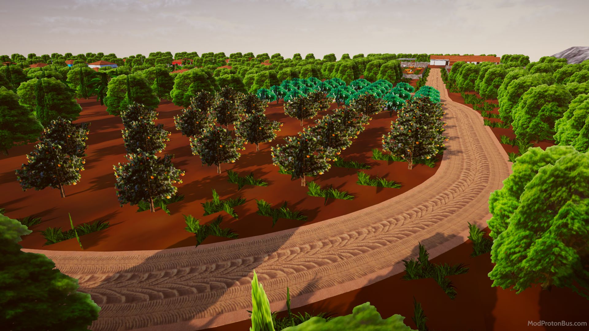 Foto dari Sao Diego 6