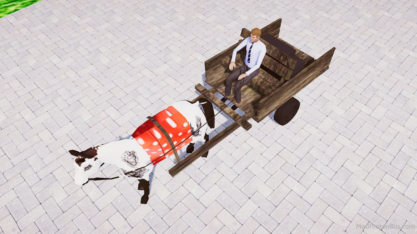 Foto dari CARROCA 9